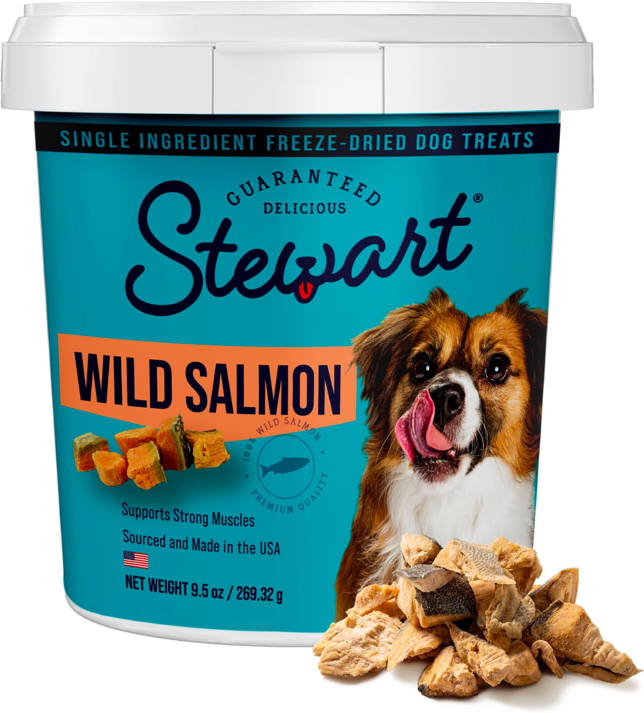 Freeze Dried Dog Treats, 100% Wild Salmon, 9.5 oz Tub