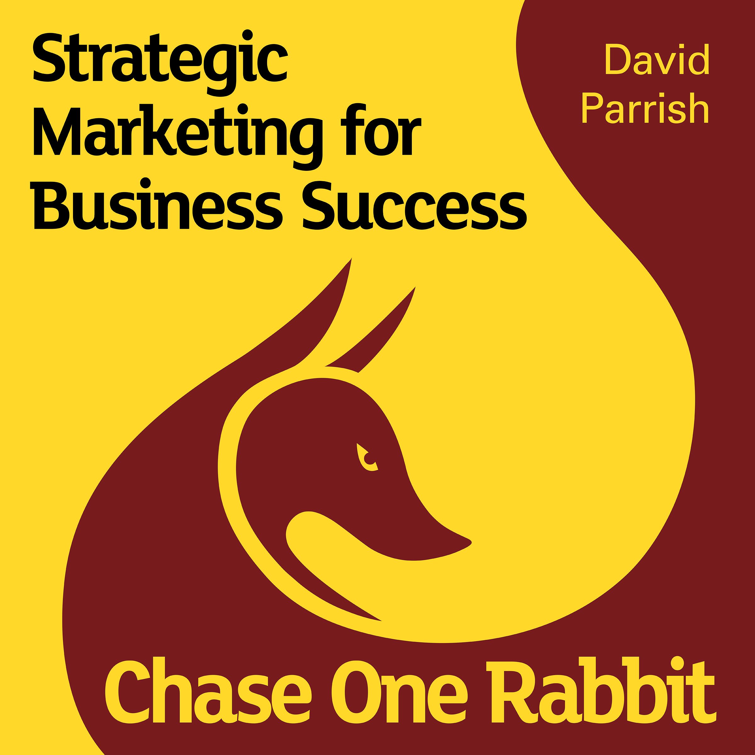 Chase One Rabbit: Strategic Marketing for Business Success
