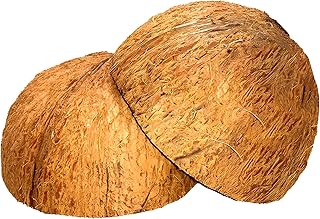 28 Handmade Coconut Shell Decor Ideas You Can DIY 40 Coconut Shell Halves, Set of 2 with Fiber, Eco-Friendly Bowls for Crafts...