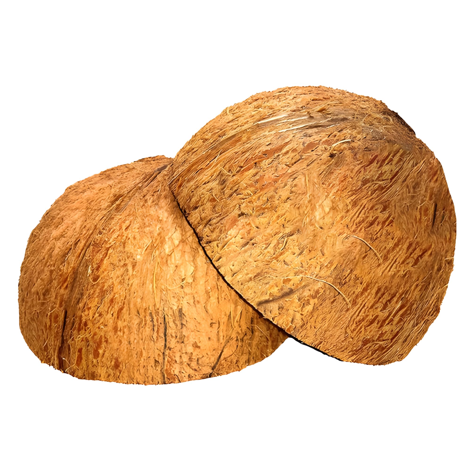 Sri Ingredients Eco-Friendly Coconut Shell Halves Set of 2, Natural Coconut Shells for Pet Feeders, DIY Crafts, Candle Holders, Home Decor, Small Animal Habitat