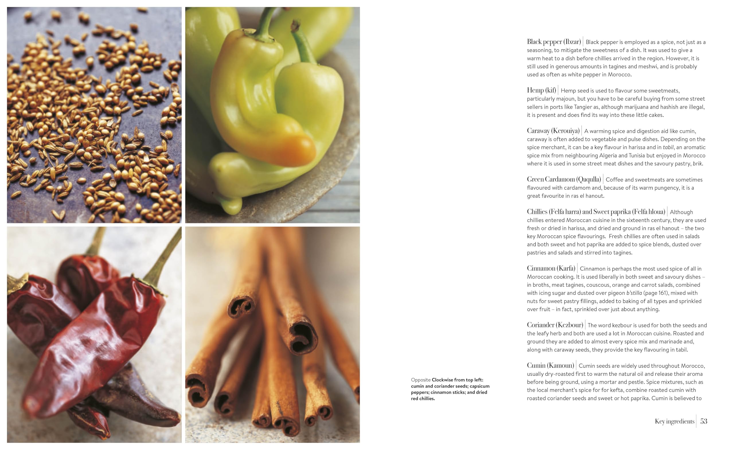 Moroccan Cookbook: Exploring the Food of a Timeless Cuisine