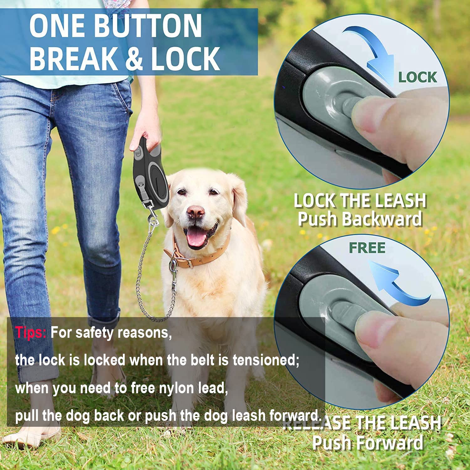 Laisse rétractable en Nylon avec chaîne Anti-Mastication, très résistante pour Chiens de Taille Moyenne et Grande 8 m, Gris