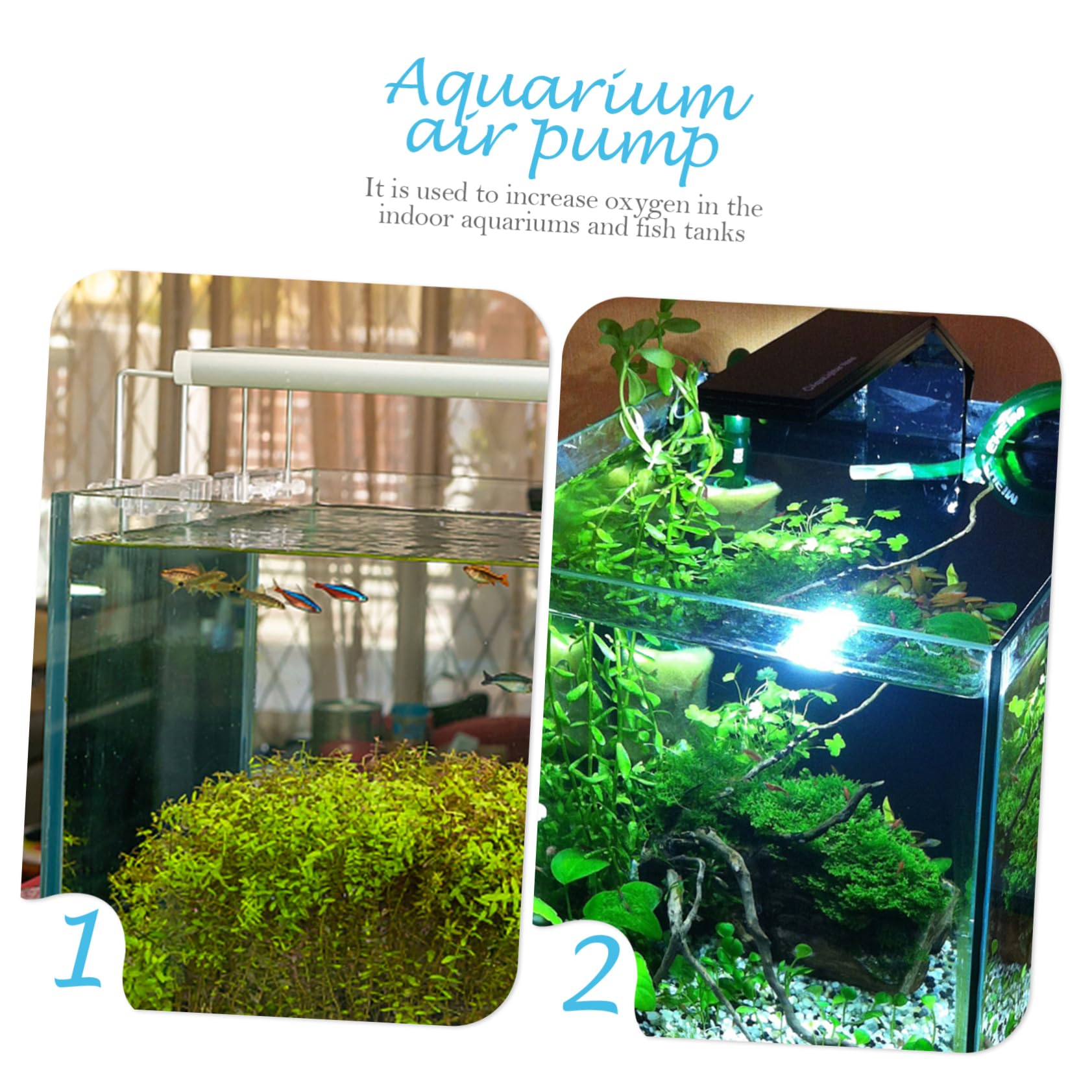 Bomba de oxigeno para pecera Suministro pecera Accesorios ambientador Bomba de Aire Piscina característica Tanque de Peces Suministro de Pesca Abdominales Blue