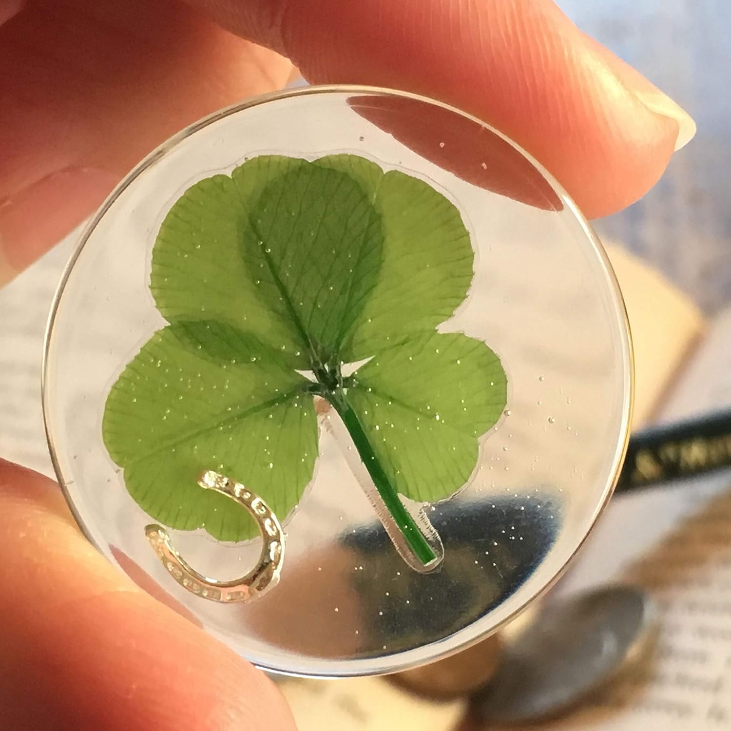KIN-HEBI Real four leaf clover Good Luck Pocket Token, Preserved, 3.2 cm,  Including Metal Horseshoe Object (Silver) – BigaMart