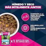 Ver la foto 7