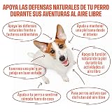 Ver la foto 3