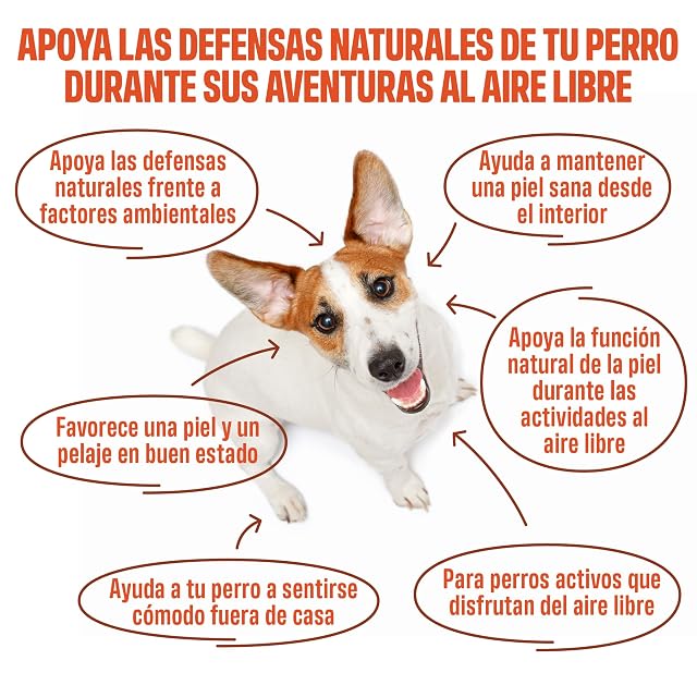 Foto 3 de 8 de ivvi Outdoor para Perros - 60 Snacks Blandos Piel, Pelaje y Defensas, 270 g