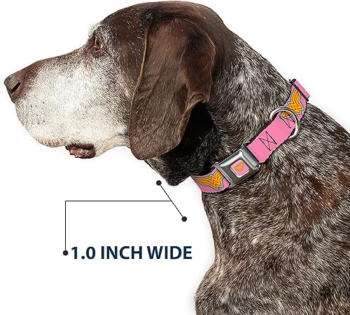 Miniatura 6 de Buckle-Down Collar de perro con hebilla de cinturón de seguridad, logotipo de Wonder Woman, rosa, azul, amarillo, rosa, 1.5 pulgadas de ancho, se