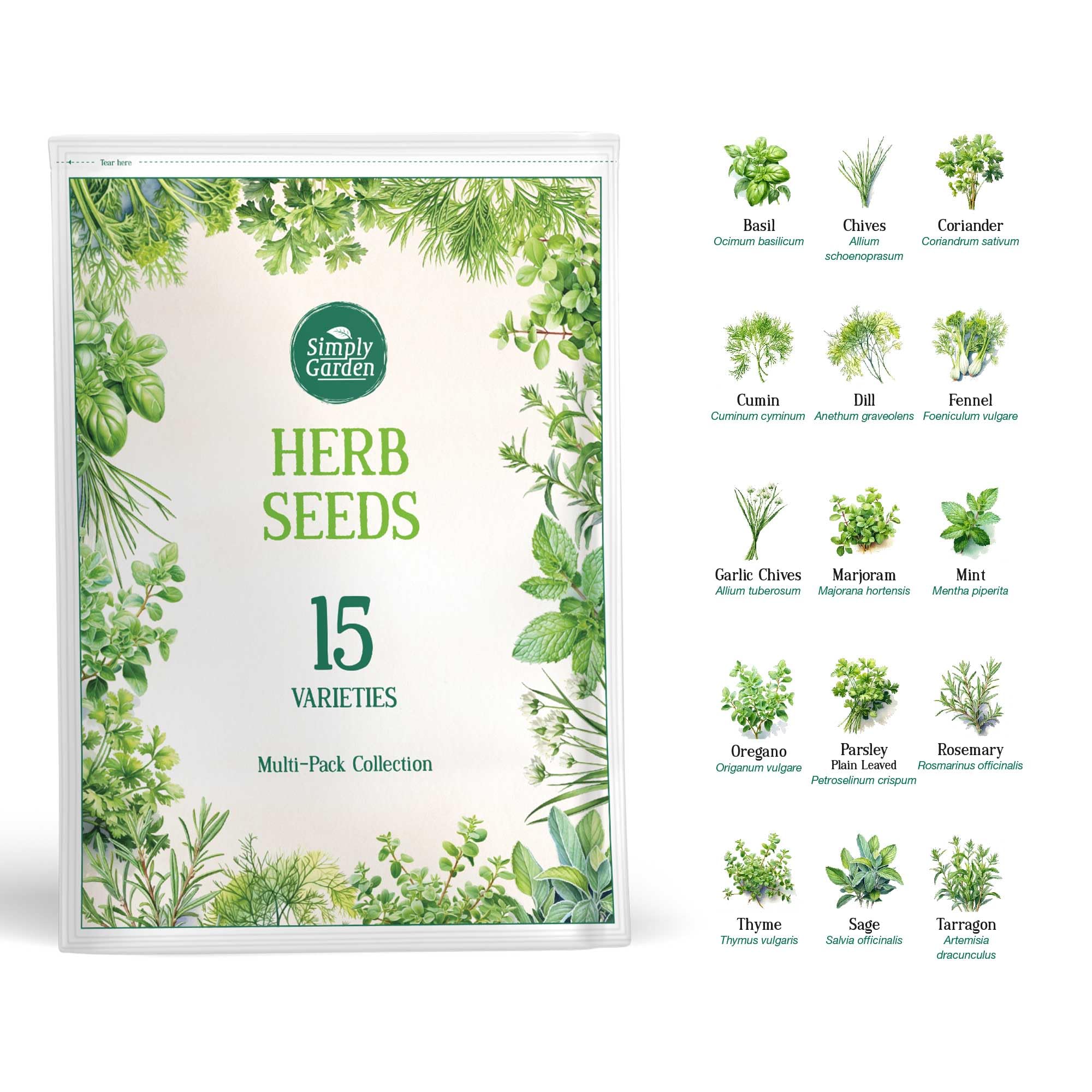 Simply Garden Beetroot Boltardy Seeds Root Vegetable Grow Your Own Garden — view 4