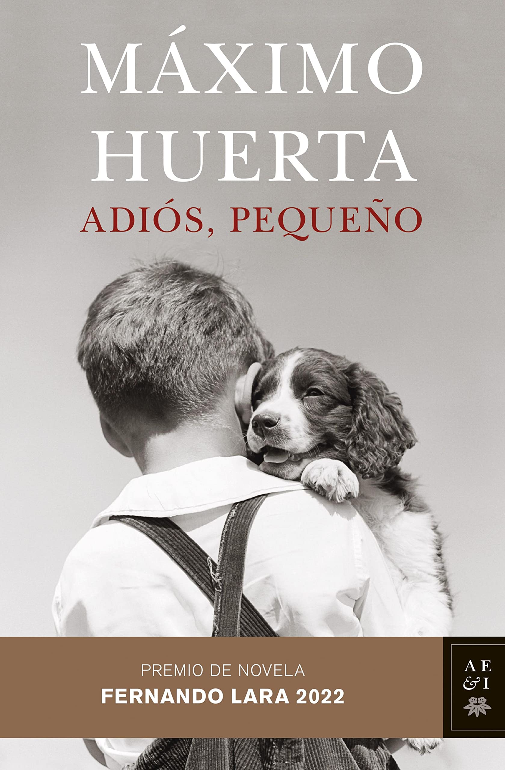 Livre espagnol Adiós pequeño pour vibrer au rythme d'une histoire humaine poignante