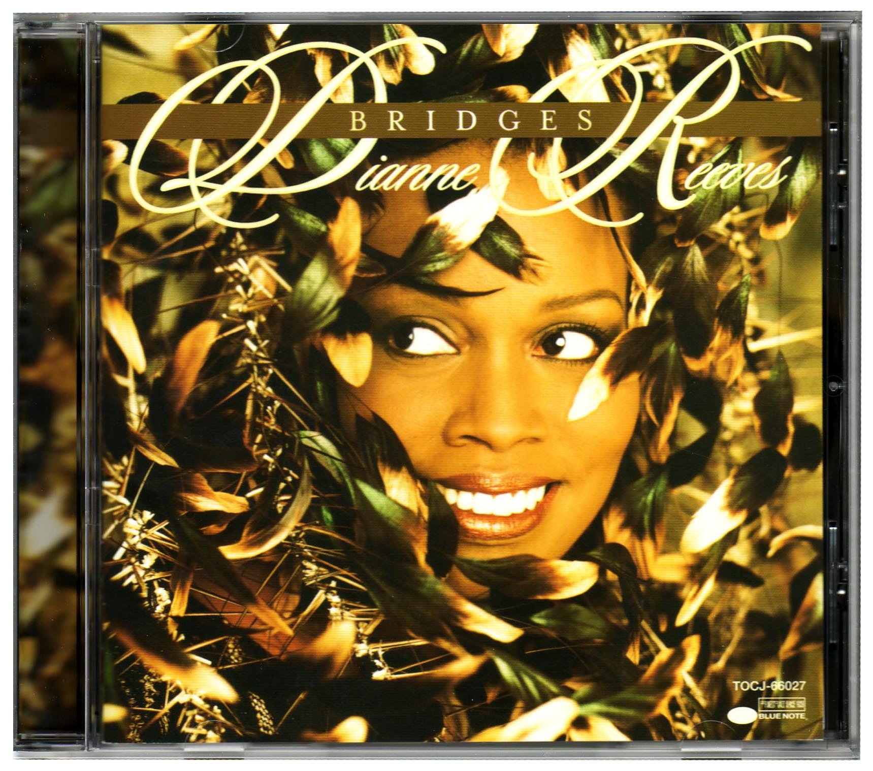 DIANNE REEVES - Bridges - CD