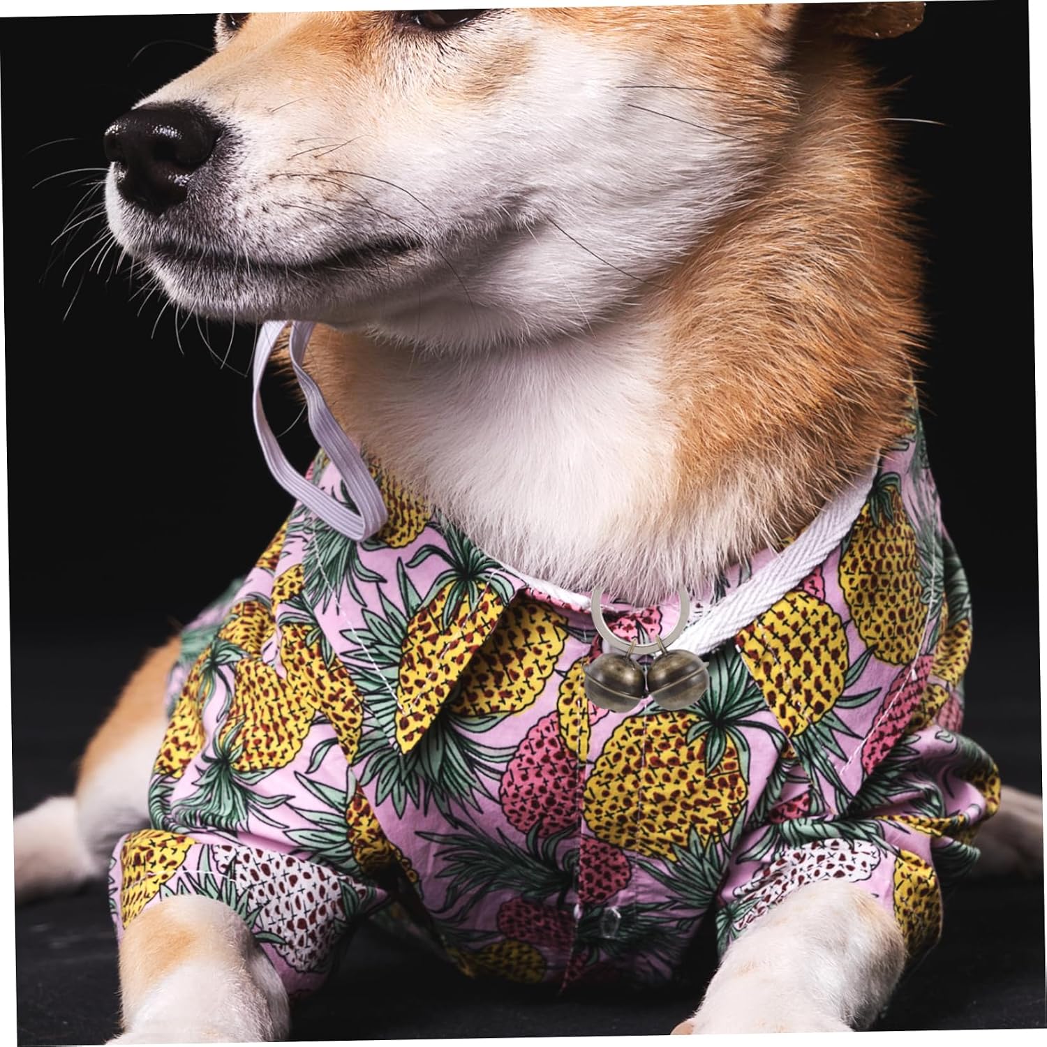 VICASKY 5pcs Pet Training Bell for Cats and Dogs Decorative Collars Keychains Vintage Accessories Sound for Easy Tracking and Personalization
