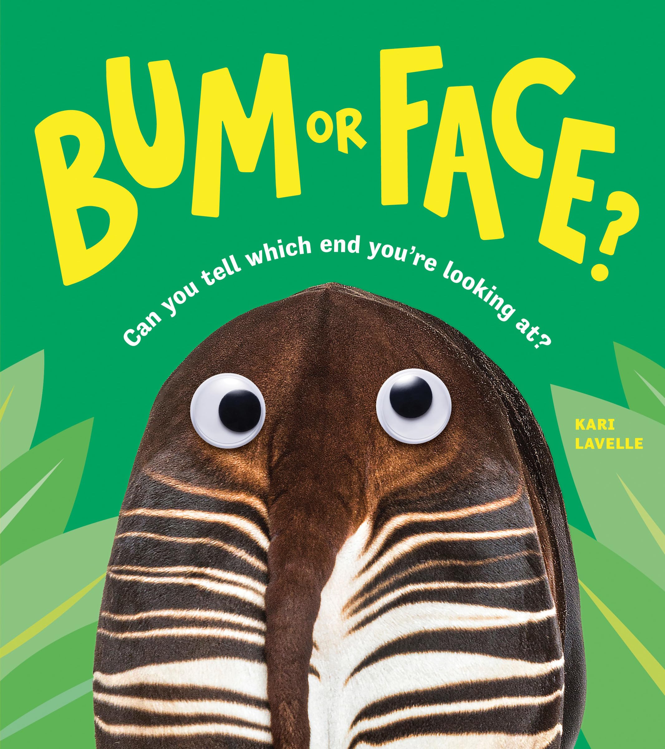 Bum or Face by Kari Lavelle PAPERBACK 9781728292908
