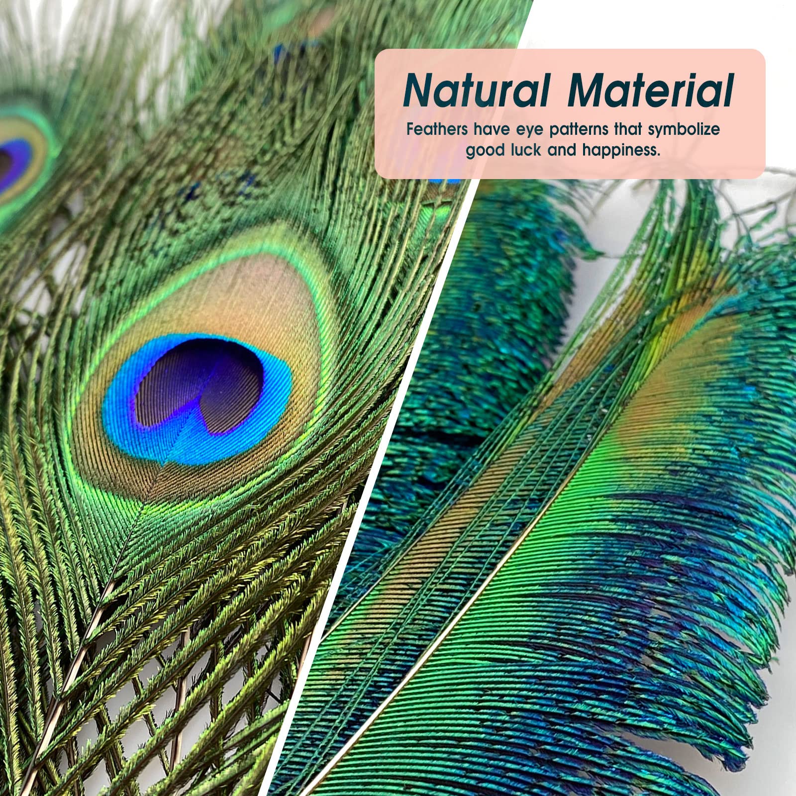 Décoration Plume Paon Plumes De Paon Naturelles - Lot 20 Plumes 78-80cm Décoration Mariage Fête