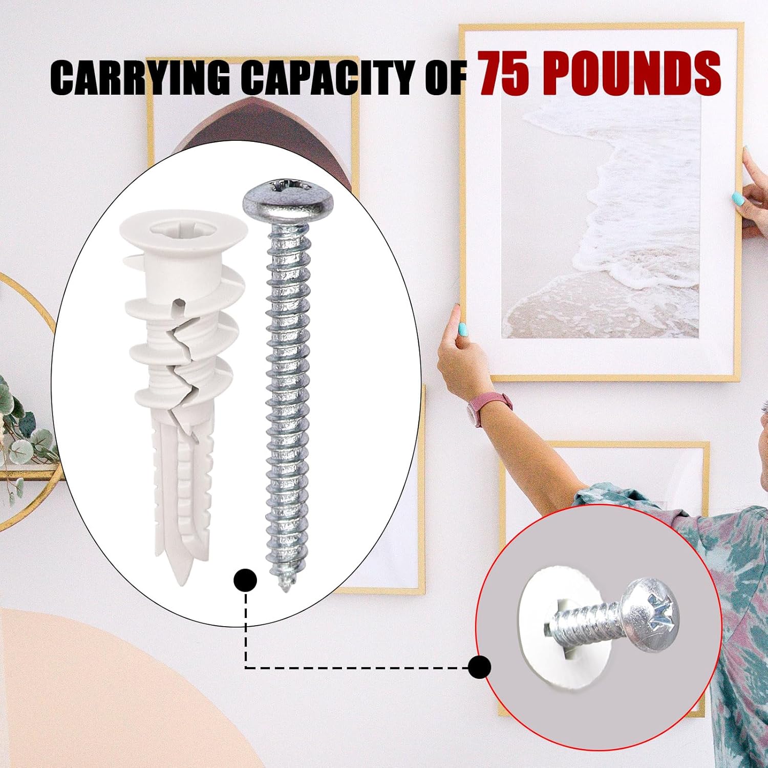 100PCS #8 Self Drilling Drywall Anchor Set Hollow Wall with Screws 50PCS Plastic Wall Anchors and 50PCS #8 x 1-1/2" Screws Holds Upto 75lbs