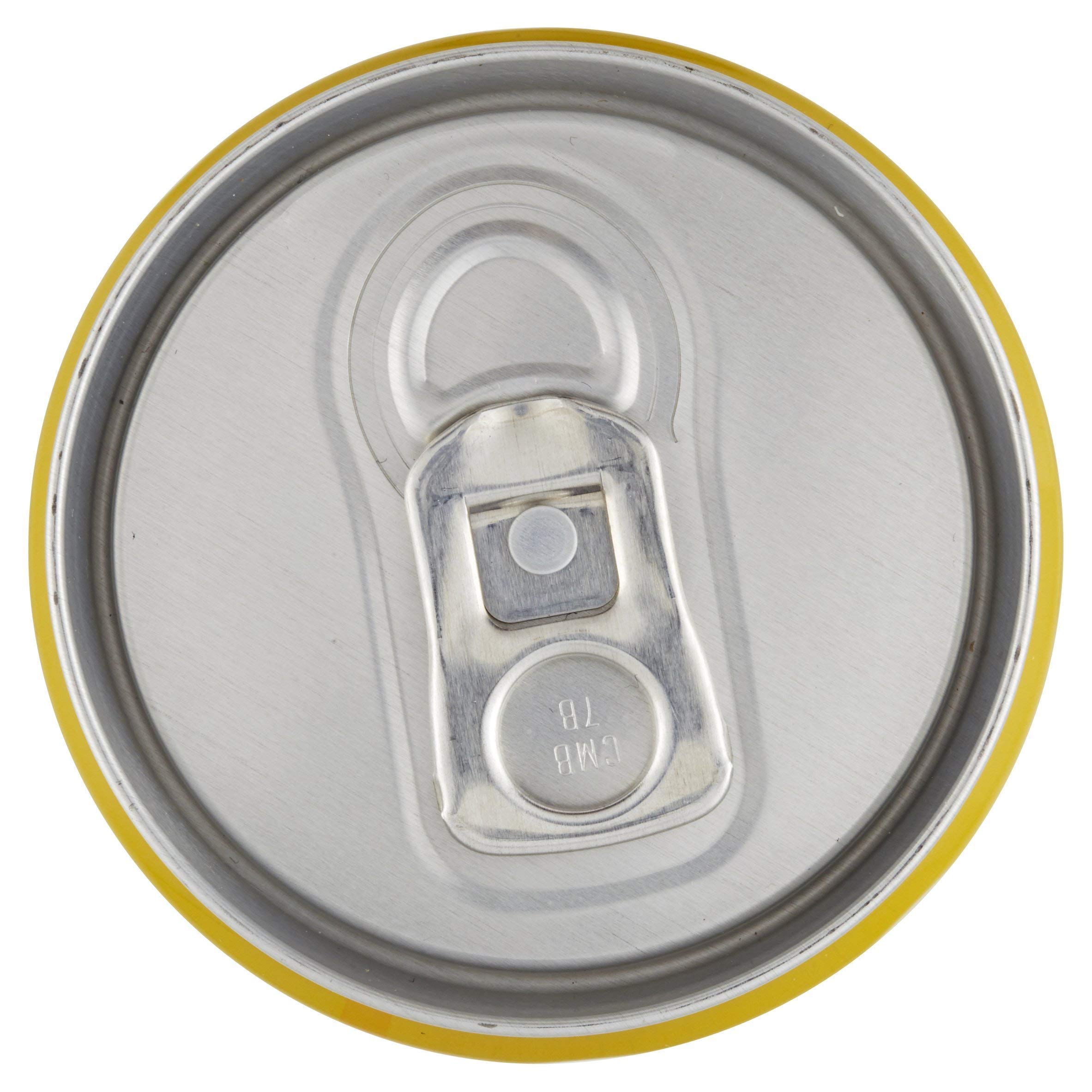 Estathé - Estathe limone 24 lattine da 33 cl (1000032715)