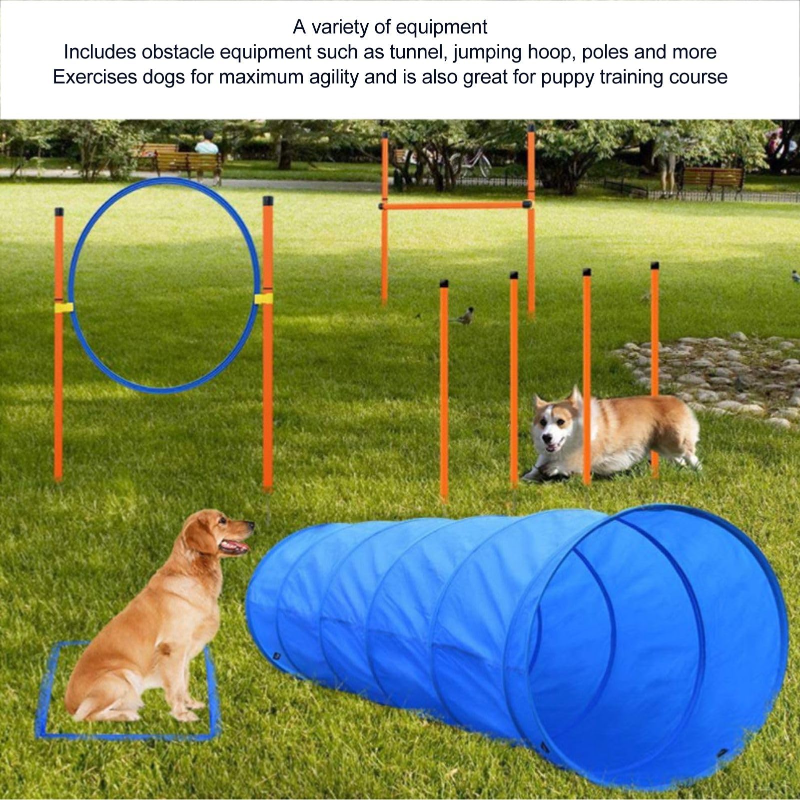 Hunde-Agility-Trainingsausrüstung, zusammenklappbarer Tunnel und Sprungringstangen, hochwertige ABS- und Polyesterfaser, für den Hof- und Außenbereich, 61 x 61 x 145 cm großer