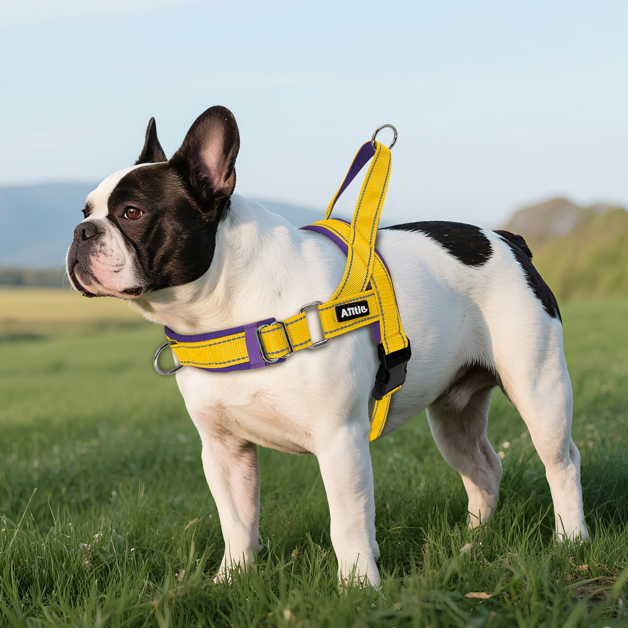 AIITLE Arnés Ajustable Mejorado para Perros con Acolchado Suave y cómodo, Chaleco táctico a Prueba de Fugas, arneses Reflectantes Ligeros para Perros medianos Amarillo-púrpura S