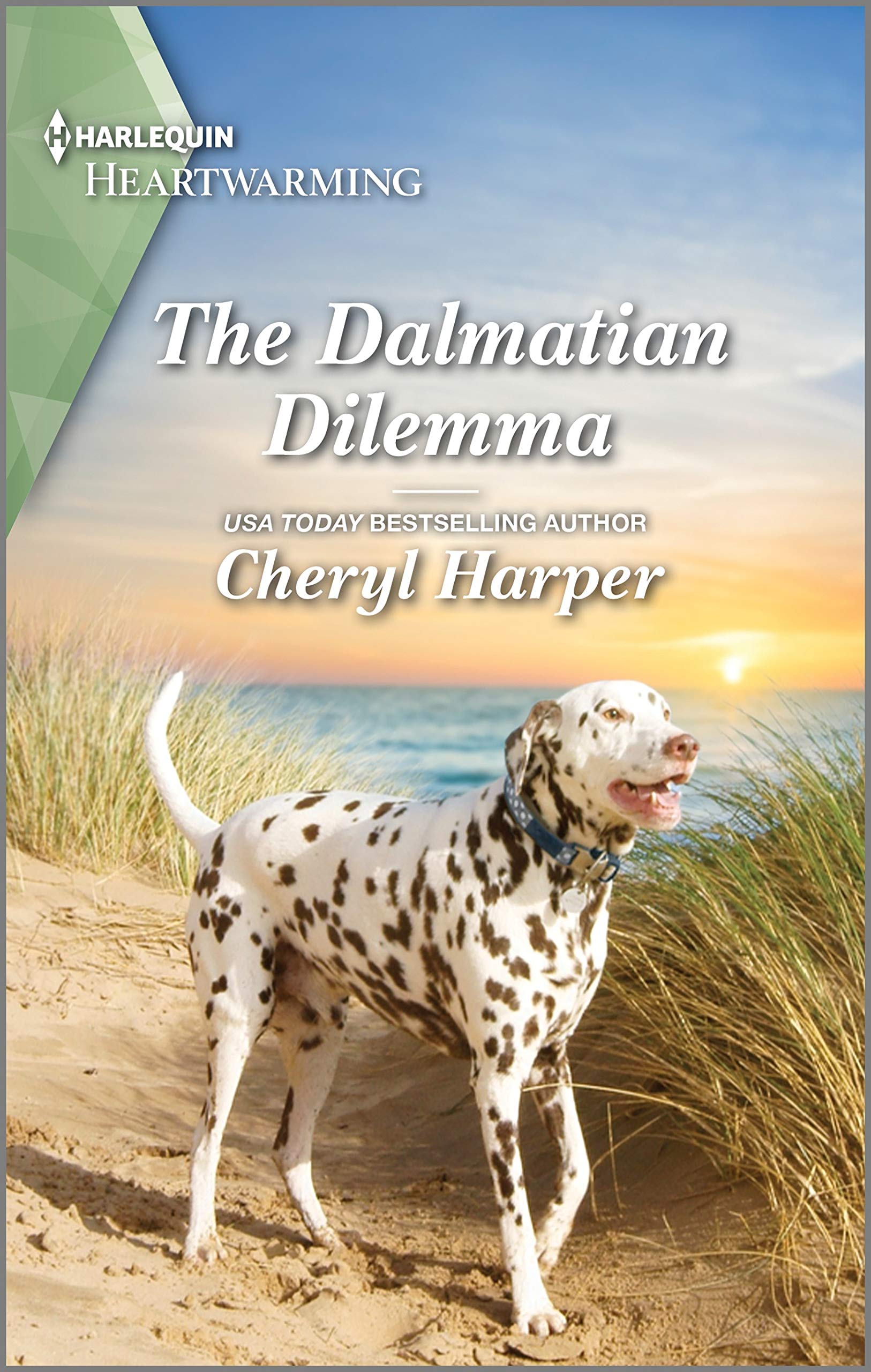 Buy The Dalmatian Dilemma: A Clean Romance – A Heartwarming Contemporary Story of Veterans and Rescue Dogs (Veterans' Road Book 2) — BookShops.in