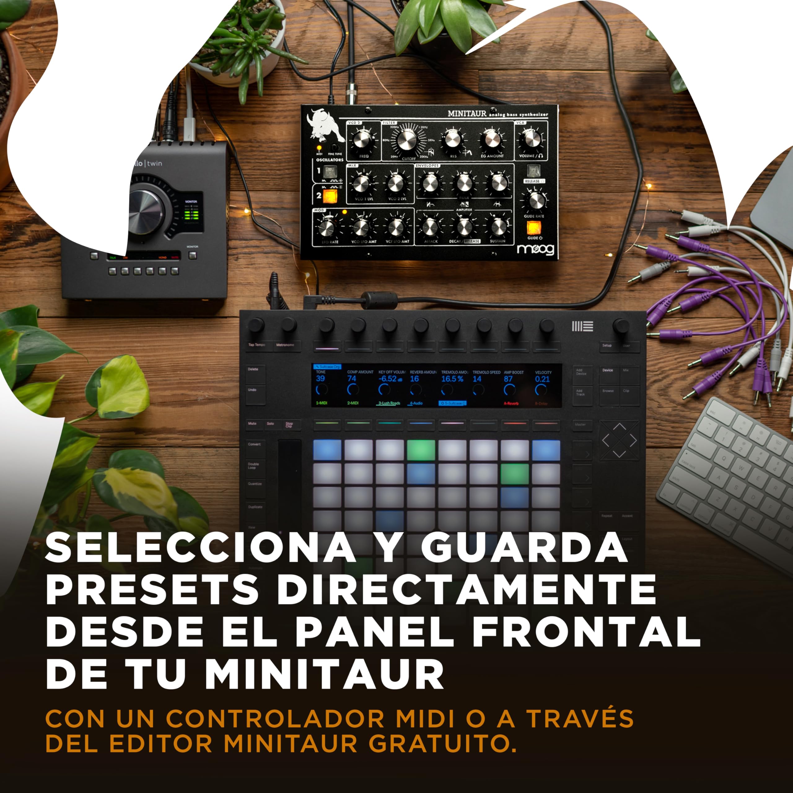 MOOG Minitaur Sintetizador Analógico de Bajo | Módulo Compacto con 128 Presets, Amplificador de Auriculares y Editor de Software