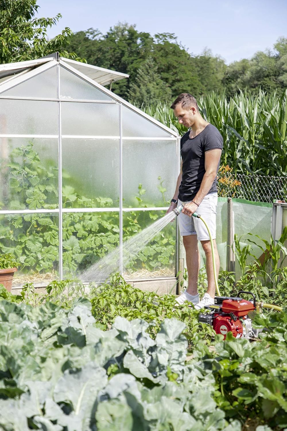 AL-KO BMP 14001 thermal water pump in a garden near a greenhouse