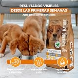Ver la foto 6