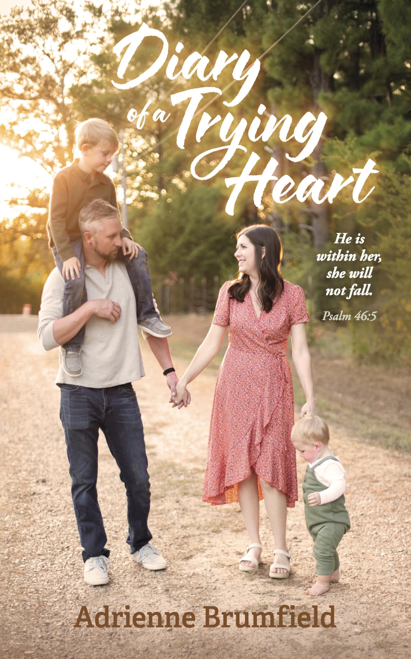 Diary of a Trying Heart