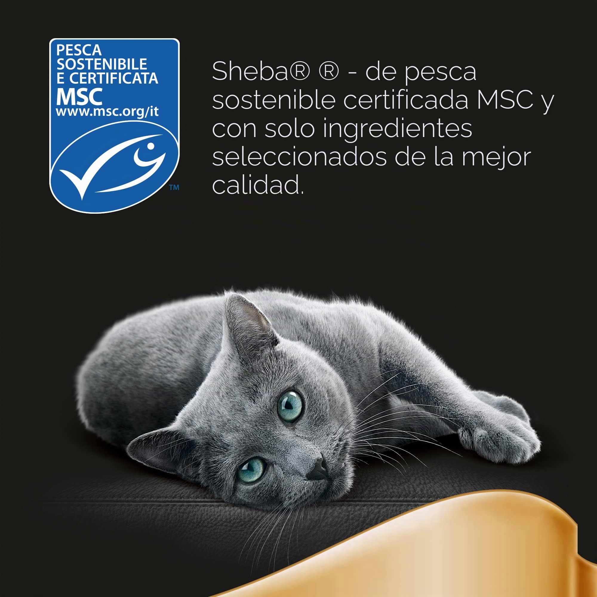 Sheba Delicatezze in Gelatina, Atún, Salmón, Pescado Blanco y Bacalao, alimento húmedo Completo para Gatos Adultos, 60 bolsitas de 85 g