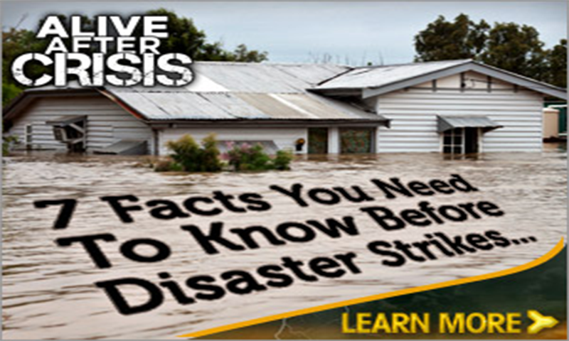 Alive After Crisis:www.amazon.com:Appstore for Android