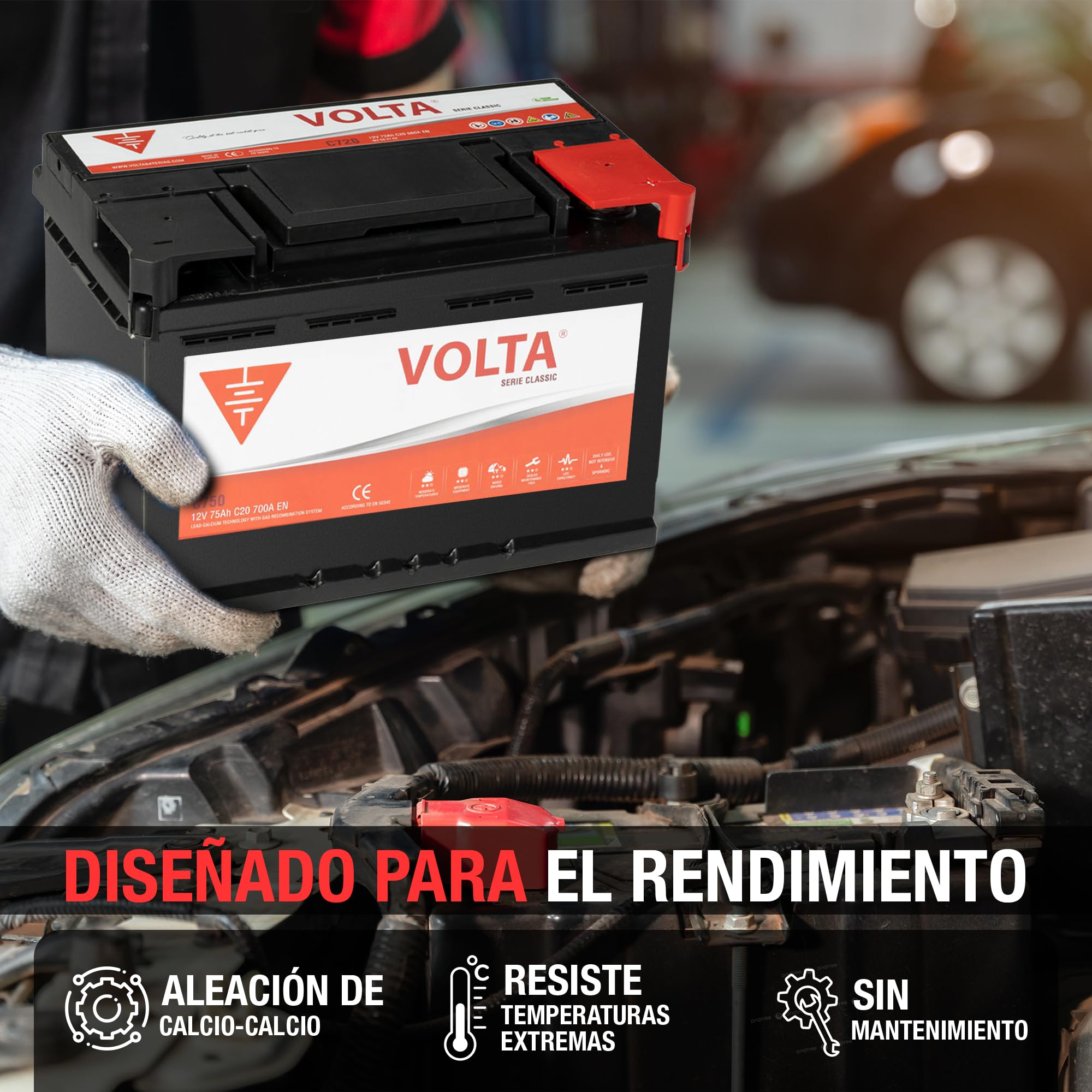 Batería de Coche 100Ah 830A - Volta A+1000D - Especial para Coches Asiáticos - 306x176x225mm - Libre de Mantenimiento, Gran Durabilidad, Fabricación Europea