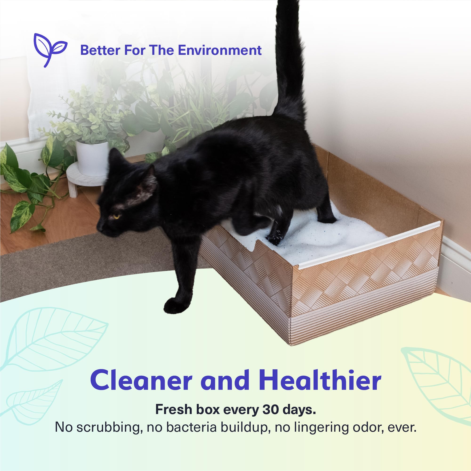 Kitty Poo Club Arena para gatos indicadora de salud, 2 bolsas, no aglutinante, ligera, con caja de arena desechable para gatos, no aglutinante, control de olores superabsorbente, perfecta para hogares
