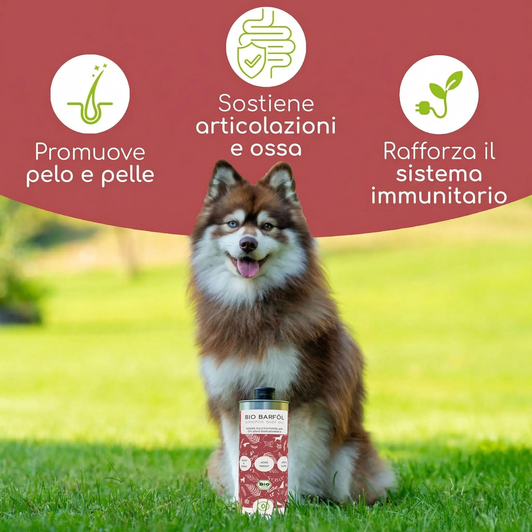 Olio alimentare per cani 1 litro – 100% Olio BARF biologico - Naturale e vegano - Con olio di lino, enotera, oliva, semi di zucca, chia - Con Omega 3-6-9, DE-ÖKO-060