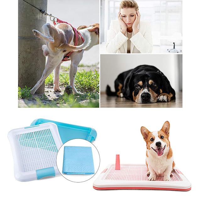 Foto 4 de 4 de SMELL & SMILE Bandeja Sanitaria de Adiestramiento Inodoro Interior para Perros Aseo Mascotas Bandeja…