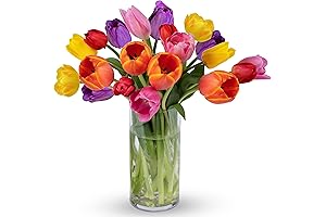Vibrant Rainbow Tulips: A Symphony of Fresh Blooms with an Elegant Glass Vase