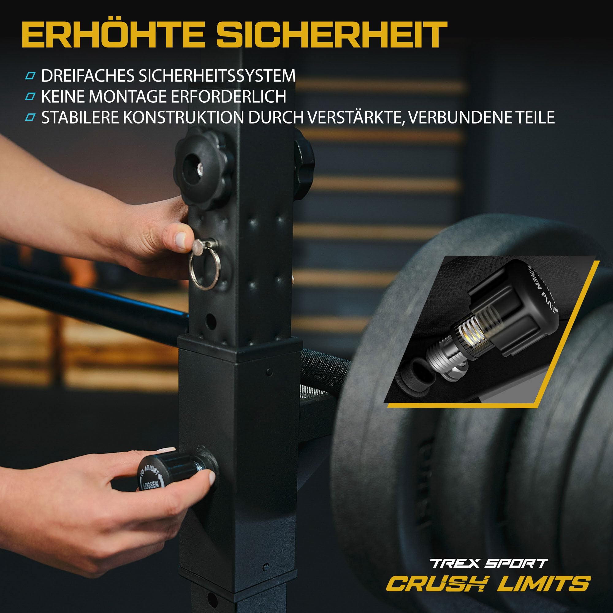 TREX SPORT Langhantelständer Squat Rack Dip-Griffen bis 250 kg TX-100S | Hantelablage höhenverstellbar mit Sicherheitsablage, Hantelscheibenaufnahmen aus Metall