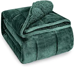 Wemore Sherpa Fleece Weighted Blanket for Adult, 15 lbs Dual Sided Cozy Fluffy Heavy Blanket, Ultra Fuzzy Throw Blanket with Soft Plush Flannel Top, 80 x 87 inches, Green on Both Sides