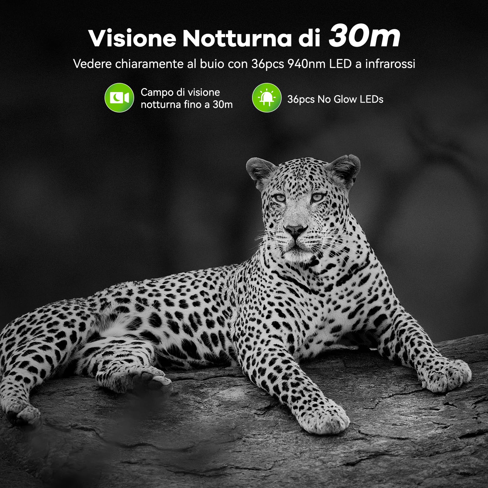 DEATTI Fototrappola WIFI 4K 48MP con Scheda SD 32GB e 8 batterie AA Fotocamera Velocità di Trigger 0,1S, Fototrappole Caccia Visione Notturna Impermeabile IP66