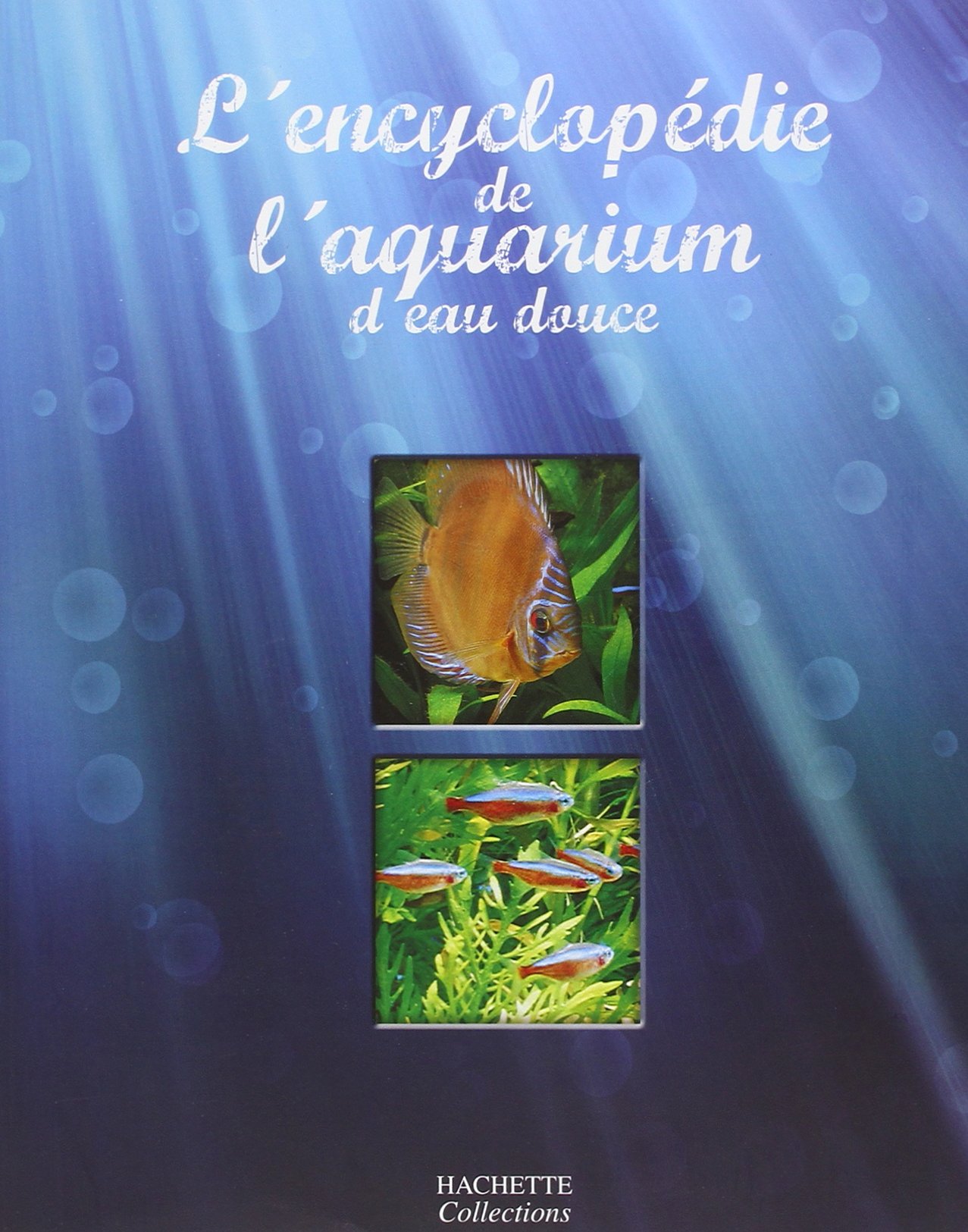 Atlas De L Aquarium D Eau Douce Amazon.com: Eric Cusimano: books, biography, latest update