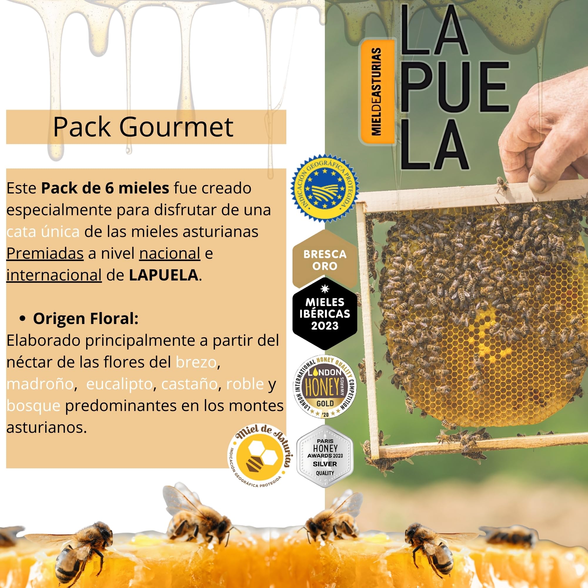 LAPUELA Pack Miel 100% Natural – Sabores Únicos con Beneficios Saludables – Miel Pura Cruda y Artesanal – Producción Tradicional Asturias (2460, Eucalipto/Roble/Brezo/Bosque/Castaño/Madroño)