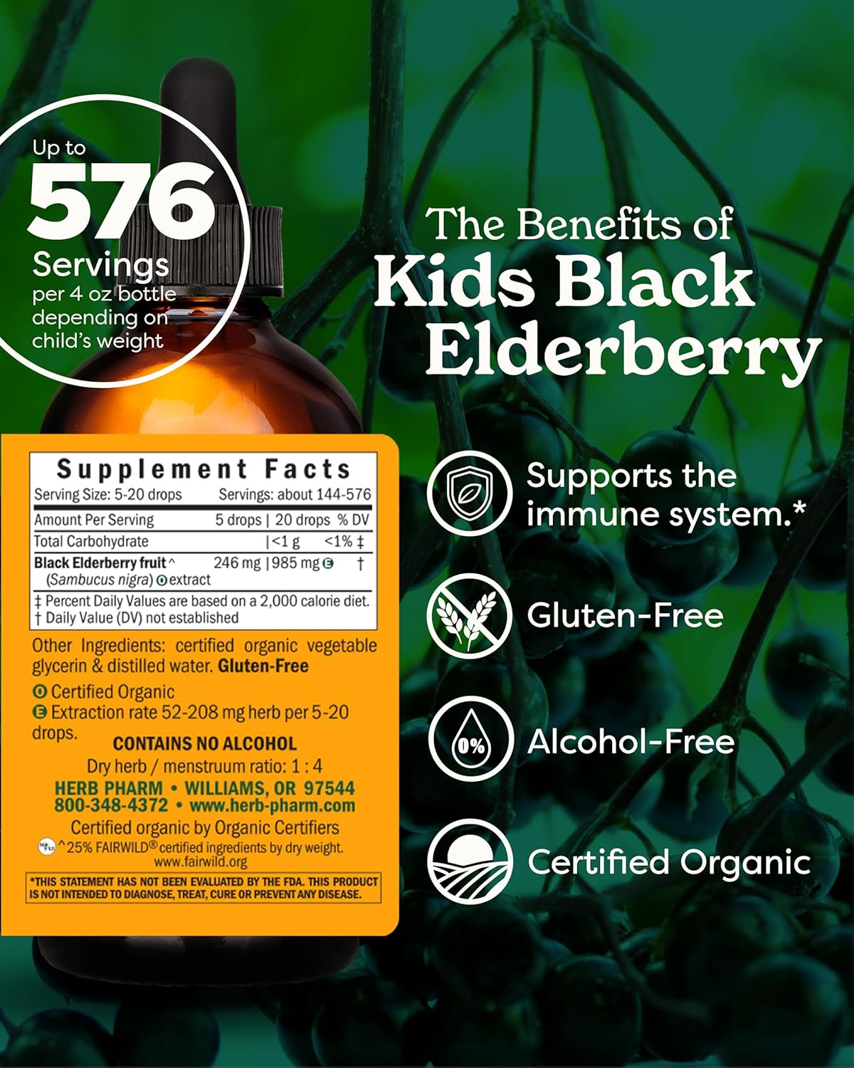 Herb Pharm Kids Certified-Organic Alcohol-Free Black Elderberry Glycerite Liquid Extract, 4 Ounce - Image 2