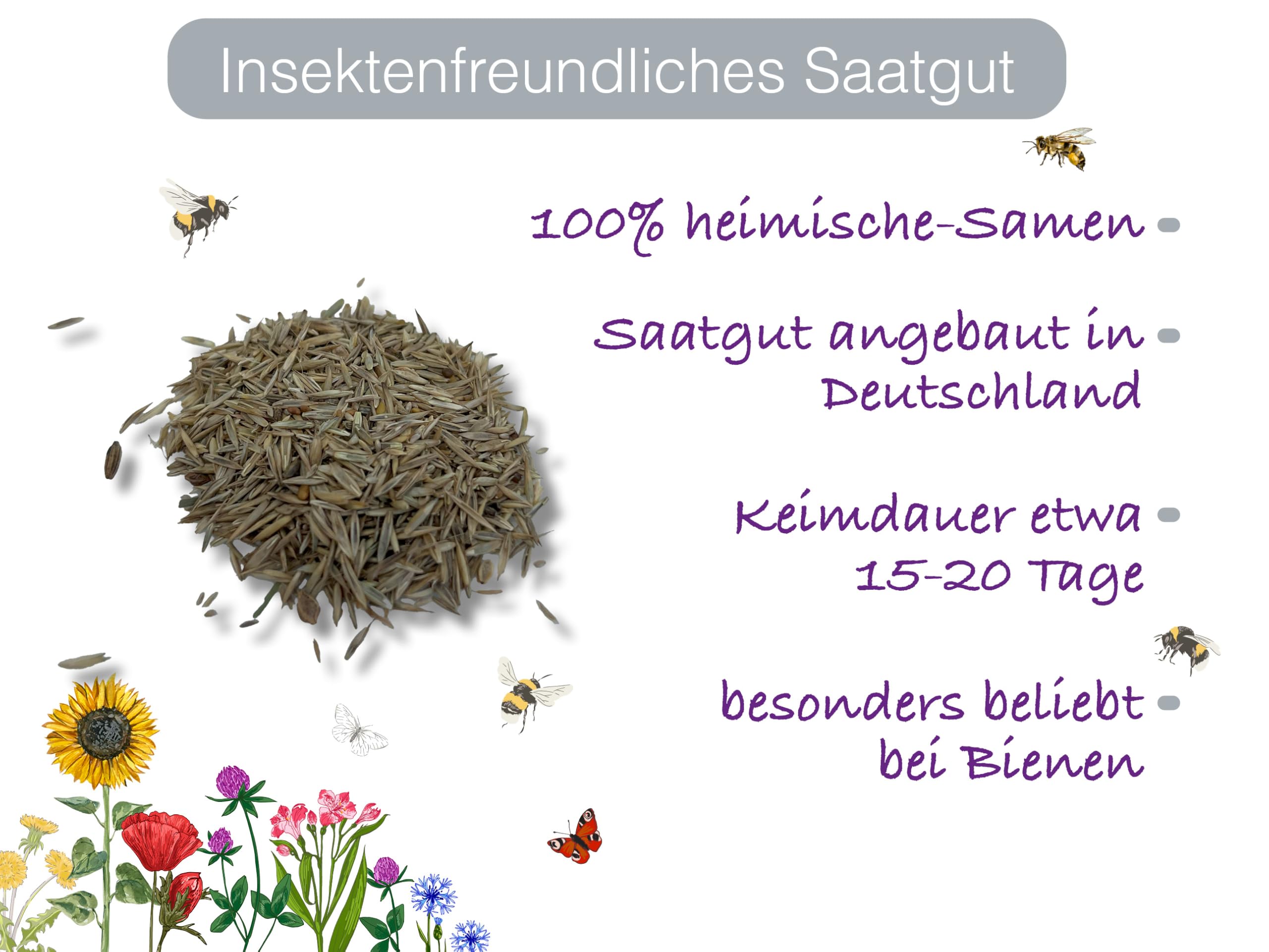 Pferdeweide-Samen  Robuste Saatgutmischung fr dichte, strapazierfhige  Weideflchen | Hoher Ertrag & Trittfestigkeit | Ideal fr Pferde, Ponys &  Weidetiere (250.000 Samen) : Amazon.de: Garten