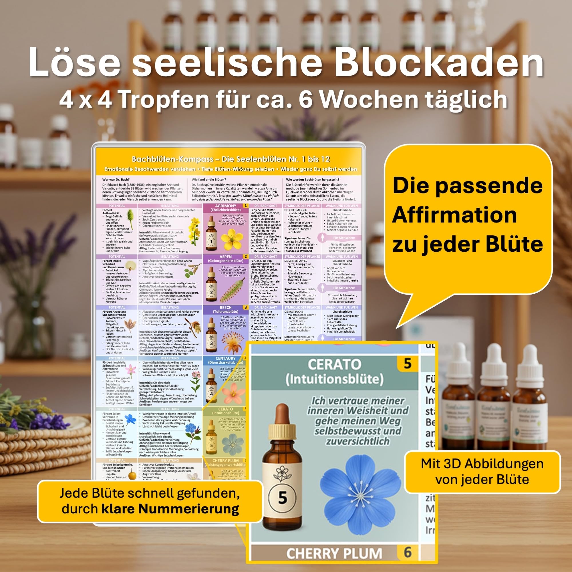 [5er Set] Der sanfte Naturheil-Kompass für Körper & Seele – mit allen 38 Bachblüten & 24 Schüßler-Salze: Behutsam körperlichen & seelischen ... & ... & Selbstanwender (DINA 4, laminiert)