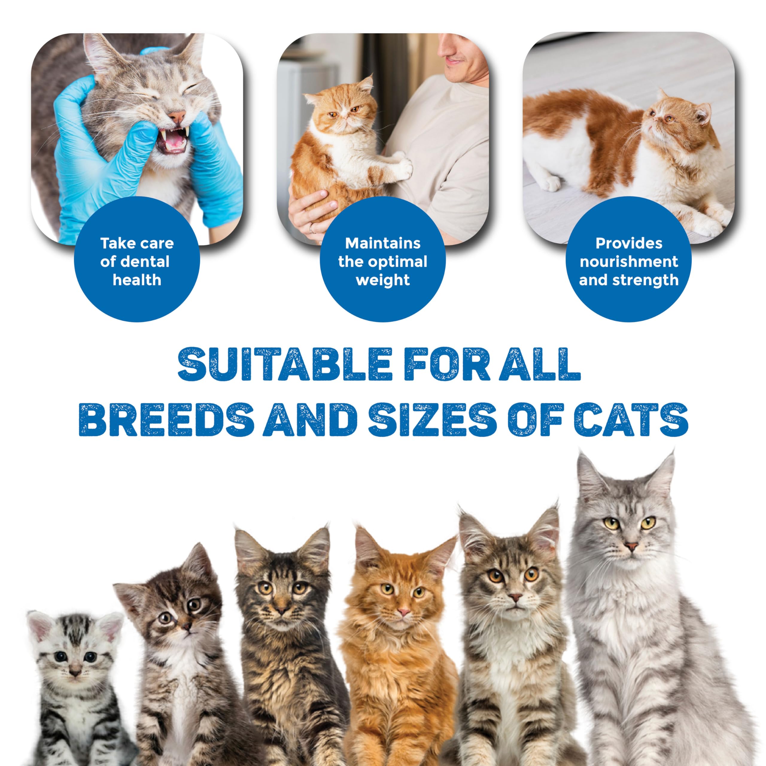 Combo of Trixie White Fish Flavor Creamy Snacks for Cat & Kittens (5 Tubes × 14 g) and Savic Hop in Modern Cat Litter Tray, Mocca - 23 x 15 x 15 inch - Suitable for All Cat Breeds 4