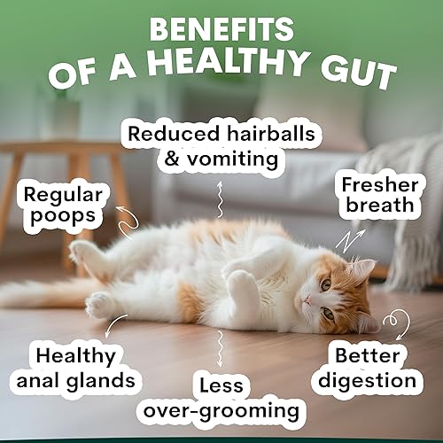 Miniatura 3 de Paquete de probióticos para gatos y probióticos para perros