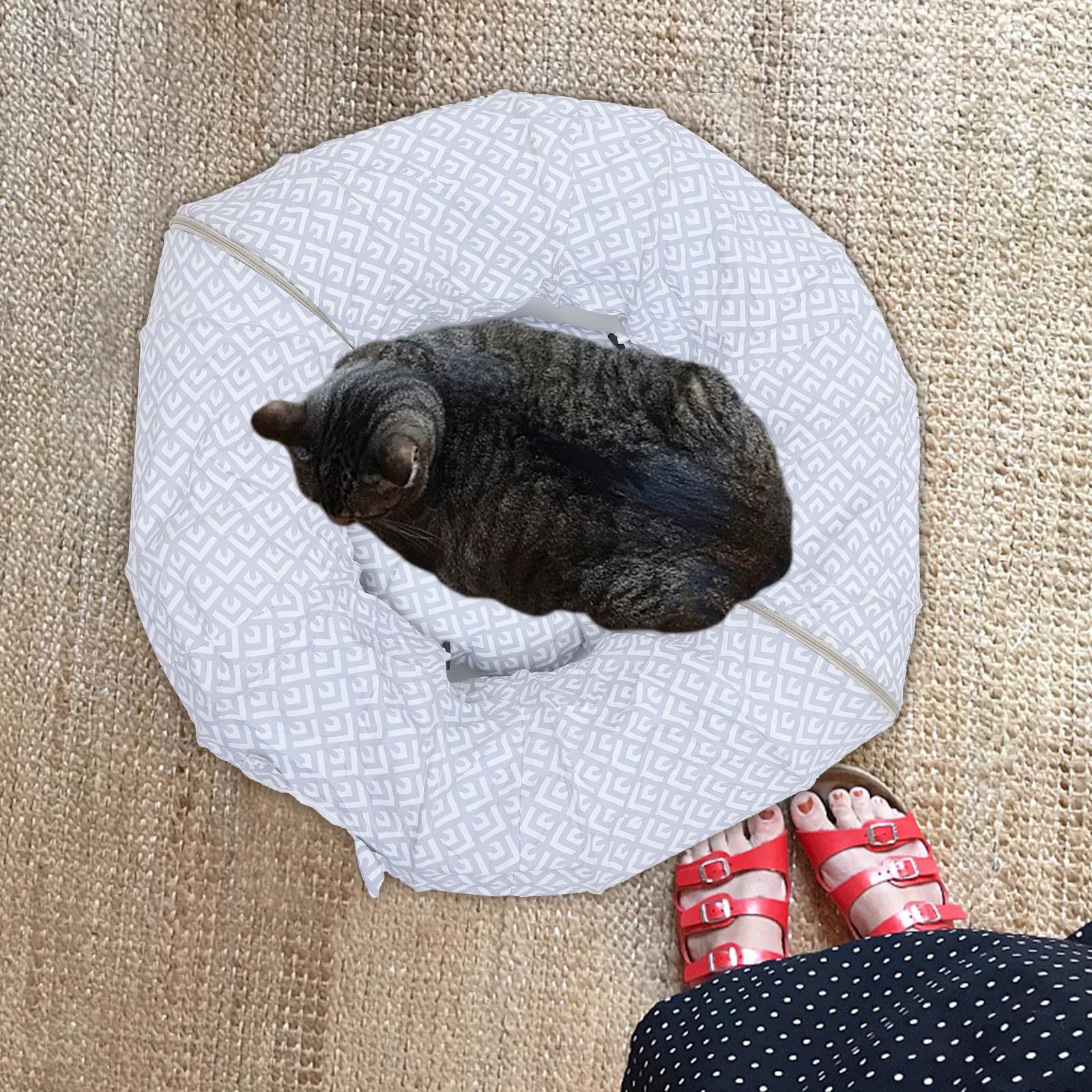 Faltbarer Katzentunnel Leicht zu Reinigen aus Gewebe mit Integriertem Interaktives Tunnelbett für Katzen und Kätzchen für Indoor Bereich