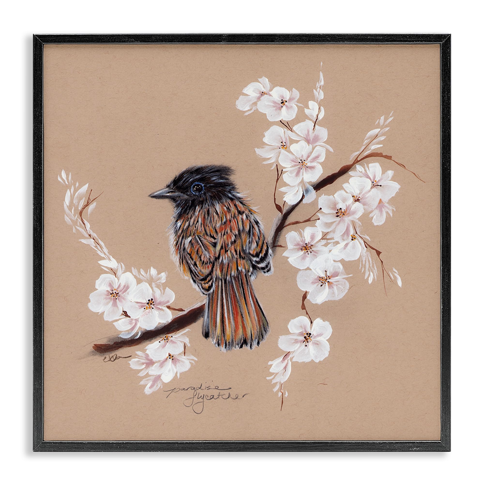 Stupell Industries Perched Bird Neutral Apple Blossoms Black Framed Giclee Art, design by Cady Driver, 17 x 17
