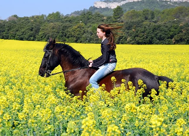 Foto 2 de 8 de Equine Synergy COOKIES MOVIN' Y GROOVIN' con cúrcuma