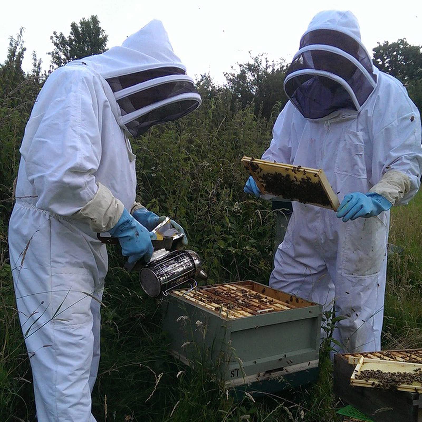 Tuta da apicoltura, giacca da apicoltura, da donna, colore bianco, per apicoltori professionali e principianti (L)