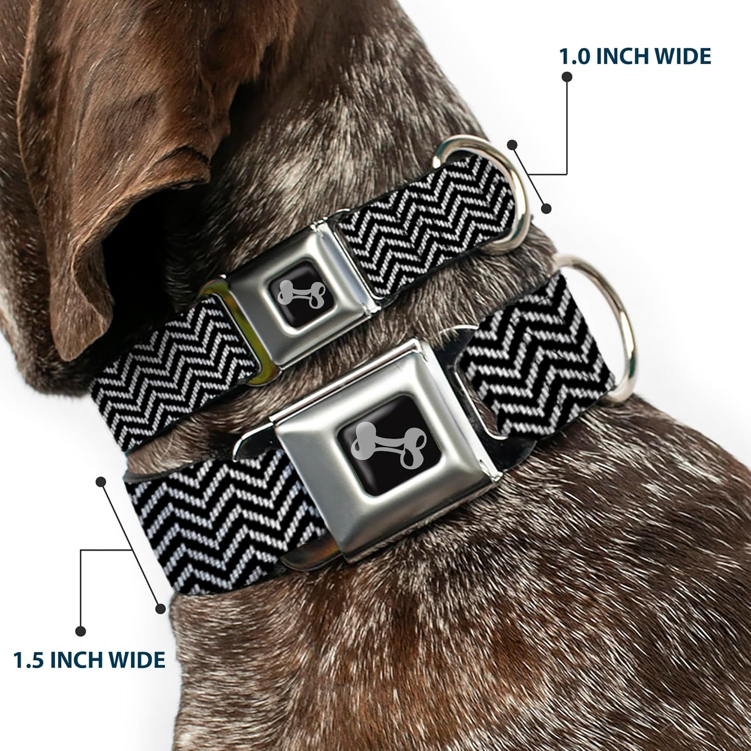 Buckle-Down Seatbelt Buckle Dog Collar - Herringbone Jagged Black/White - 1" Wide - Fits 15-26" Neck - Large, DC-W30823-L