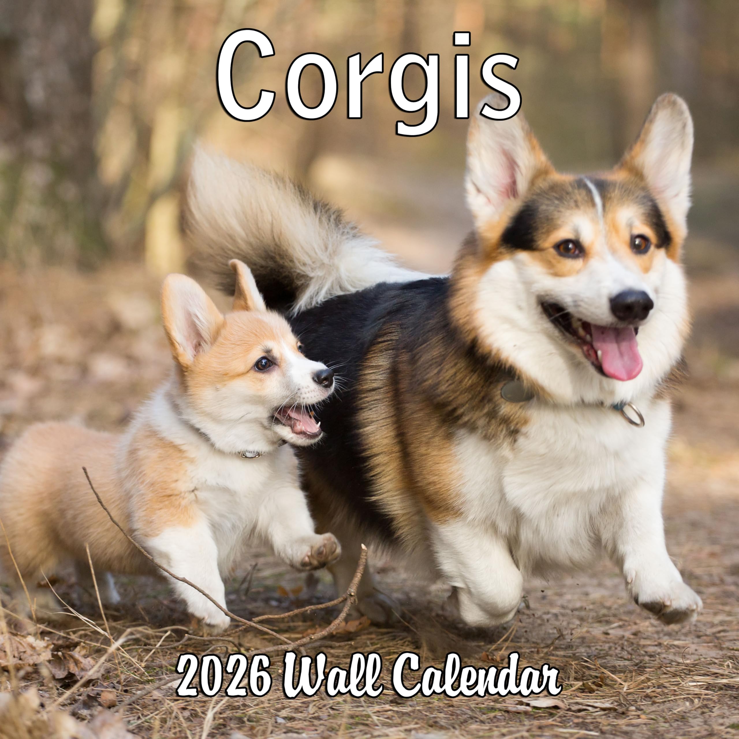 2026 Corgis Monthly Wall Calendar | Cute Dog Calendar September 2025 - December 2026